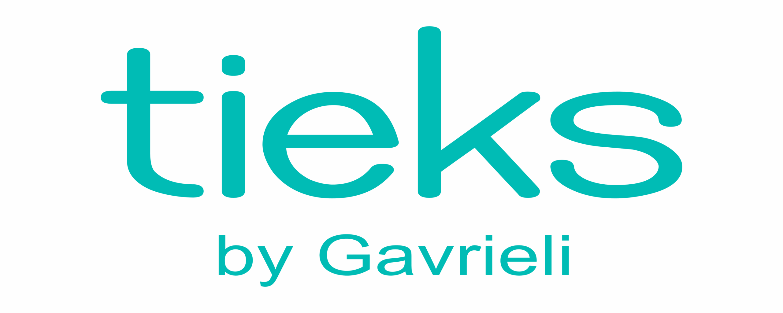 Tieks by Gavrieli